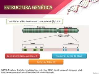 ESTRUCTURA GENÉTICA
situada en el brazo corto del cromosoma 6 (6p21.3)
Centrómero: Genes de Clase II Telómero : Genes de Clase I
Genes de Clase III
FUENTE: Trasplante de células hematopoyéticas en la niñez (PDQ®)–Versión para profesionales de salud.
https://www.cancer.gov/espanol/tipos/infantil/tch-infantil-pro-pdq
 