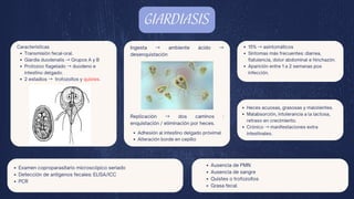 Coproscopia Comprehensive Coproanalysis and Intestinal Parasite Diagnosis in ...