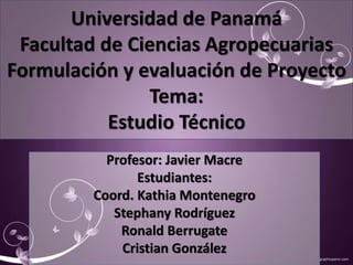 Universidad de Panamá 
Facultad de Ciencias Agropecuarias 
Formulación y evaluación de Proyecto 
Tema: 
Estudio Técnico 
Profesor: Javier Macre 
Estudiantes: 
Coord. Kathia Montenegro 
Stephany Rodríguez 
Ronald Berrugate 
Cristian González 
 