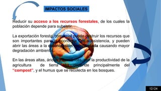 IMPACTOS SOCIALES
Reducir su acceso a los recursos forestales, de los cuales la
población depende para subsistir.
La exportación forestal comercial puede destruir los recursos que
son importantes para la economía de subsistencia, y pueden
abrir las áreas a la colonización incontrolada causando mayor
degradación ambiental.
En las áreas altas, áridas y semiáridas, con la productividad de la
agricultura de tierra alta depende principalmente del
“compost”, y el humus que se recolecta en los bosques.
12/24
 