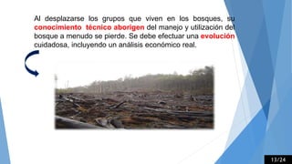 Al desplazarse los grupos que viven en los bosques, su
conocimiento técnico aborigen del manejo y utilización del
bosque a menudo se pierde. Se debe efectuar una evolución
cuidadosa, incluyendo un análisis económico real.
13/24
 