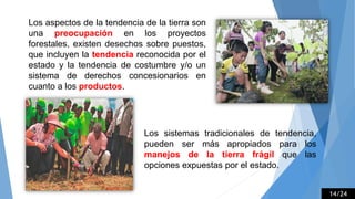 Los aspectos de la tendencia de la tierra son
una preocupación en los proyectos
forestales, existen desechos sobre puestos,
que incluyen la tendencia reconocida por el
estado y la tendencia de costumbre y/o un
sistema de derechos concesionarios en
cuanto a los productos.
Los sistemas tradicionales de tendencia,
pueden ser más apropiados para los
manejos de la tierra frágil que las
opciones expuestas por el estado.
14/24
 