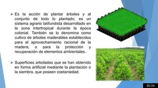  Es la acción de plantar árboles y al
conjunto de todo lo plantado; es un
sistema agrario latifundista desarrollado en
la zona intertropical durante la época
colonial. También se lo denomina como
cultivo de árboles maderables establecidos
para el aprovechamiento racional de la
madera; o para la protección y
recuperación de elementos ambientales.
 Superficies arboladas que se han obtenido
en forma artificial mediante la plantación o
la siembra, que poseen coetaniedad.
20/24
 