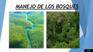MANEJO DE LOS BOSQUES
3/24
 