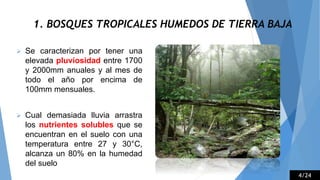 1. BOSQUES TROPICALES HUMEDOS DE TIERRA BAJA
 Se caracterizan por tener una
elevada pluviosidad entre 1700
y 2000mm anuales y al mes de
todo el año por encima de
100mm mensuales.
 Cual demasiada lluvia arrastra
los nutrientes solubles que se
encuentran en el suelo con una
temperatura entre 27 y 30°C,
alcanza un 80% en la humedad
del suelo
4/24
 