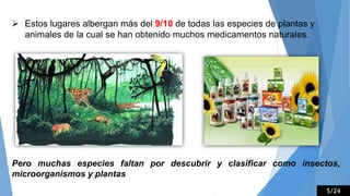  Estos lugares albergan más del 9/10 de todas las especies de plantas y
animales de la cual se han obtenido muchos medicamentos naturales.
Pero muchas especies faltan por descubrir y clasificar como insectos,
microorganismos y plantas
5/24
 