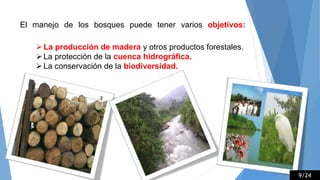 El manejo de los bosques puede tener varios objetivos:
La producción de madera y otros productos forestales.
La protección de la cuenca hidrográfica.
La conservación de la biodiversidad.
9/24
 