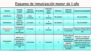 Vacuna
Protege
contra
Edad de
aplicación
N° de dosis
Intervalo
entre
dosis
Refuerzo
Edad del
refuerzo
Esquemas postergados
Antiinfluenza
Influenza
estacional
H1N1
Entre
6 y 11eses
2
4
semanas
No requiere ---- No se considera
Antirotavirus
Diarreas
severas por
rotavirus.
2, 4 meses 2
8
Semanas
No requiere ---- No se considera
Neumococo 13
Valente
Formas graves
de neumonía
por
Neumococos
2, 4 meses
2
8
Semanas si
Entre el mes 12
y 15 del niño
Solo en el esquema básico
mientras es menor de un
año
Pentavalente
Penta
Difteria, Tos
Ferina, Tétanos,
hepatitis B,
Meningitis y
Neumonías por
Hib.
2,4,6 meses 3 8 semanas 2
Primer refuerzo
al año de
tercera dosis de
Pentavalente
Niños de 1 a 5 años con
esquema postergado
deben recibir su esquema
básico de tres dosis y sus
refuerzos siempre que
estén en el rango de edad
señalado
Segundo
refuerzo a los 5
años de edad
con DPTa
Esquema de inmunización menor de 1 año
 