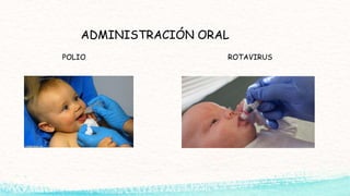 ADMINISTRACIÓN ORAL
POLIO ROTAVIRUS
 