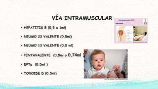 VÍA INTRAMUSCULAR
• HEPATITIS B (0,5 a 1ml)
• NEUMO 23 VALENTE (0,5ml)
• NEUMO 13 VALENTE (0,5 ml)
• PENTAVALENTE (0,5ml o 0,74ml )
• DPTa (0,5ml )
• TOXOIDE D (0,5ml)
 