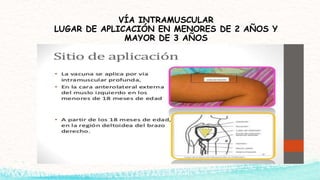 VÍA INTRAMUSCULAR
LUGAR DE APLICACIÓN EN MENORES DE 2 AÑOS Y
MAYOR DE 3 AÑOS
 