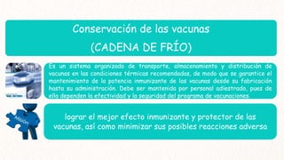 Conservación de las vacunas
(CADENA DE FRÍO)
Es un sistema organizado de transporte, almacenamiento y distribución de
vacunas en las condiciones térmicas recomendadas, de modo que se garantice el
mantenimiento de la potencia inmunizante de las vacunas desde su fabricación
hasta su administración. Debe ser mantenida por personal adiestrado, pues de
ella dependen la efectividad y la seguridad del programa de vacunaciones.
lograr el mejor efecto inmunizante y protector de las
vacunas, así como minimizar sus posibles reacciones adversa
 