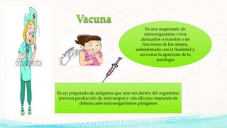 Es una suspensión de
microorganismo vivos
atenuados o muertos o de
fracciones de los mismo,
administrada con la finalidad y
así evitar la aparición de la
patología
Es un preparado de antígenos que una vez dentro del organismo
provoca producción de anticuerpos y con ello una respuesta de
defensa ante microorganismos patógenos
 