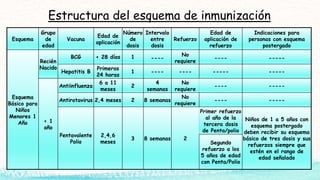 Esquema
Grupo
de
edad
Vacuna
Edad de
aplicación
Número
de
dosis
Intervalo
entre
dosis
Refuerzo
Edad de
aplicación de
refuerzo
Indicaciones para
personas con esquema
postergado
Esquema
Básico para
Niños
Menores 1
Año
Recién
Nacido
BCG < 28 días 1 ----
No
requiere
---- -----
Hepatitis B
Primeras
24 horas
1 ---- ---- ----- -----
< 1
año
Antiinfluenza
6 a 11
meses
2
4
semanas
No
requiere
---- -----
Antirotavirus 2,4 meses 2 8 semanas
No
requiere
---- -----
Pentavalente
Polio
2,4,6
meses
3 8 semanas 2
Primer refuerzo
al año de la
tercera dosis
de Penta/polio
Niños de 1 a 5 años con
esquema postergado
deben recibir su esquema
básico de tres dosis y sus
refuerzos siempre que
estén en el rango de
edad señalado
Segundo
refuerzo a los
5 años de edad
con Penta/Polio
Estructura del esquema de inmunización
 