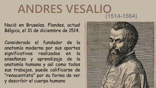 ANDRES VESALIO
Considerado el fundador de la
anatomía moderna por sus aportes
significativos realizados en la
enseñanza y ...