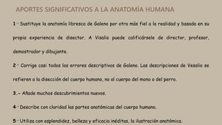 APORTES SIGNIFICATIVOS A LA ANATOMÍA HUMANA
1.- Sustituye la anatomía libresca de Galeno por otra más fiel a la realidad y...