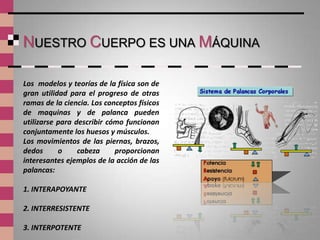 NUESTRO CUERPO ES UNA MÁQUINA

Los modelos y teorías de la física son de
gran utilidad para el progreso de otras
ramas de la ciencia. Los conceptos físicos
de maquinas y de palanca pueden
utilizarse para describir cómo funcionan
conjuntamente los huesos y músculos.
Los movimientos de las piernas, brazos,
dedos      o     cabeza     proporcionan
interesantes ejemplos de la acción de las
palancas:

1. INTERAPOYANTE

2. INTERRESISTENTE

3. INTERPOTENTE
 