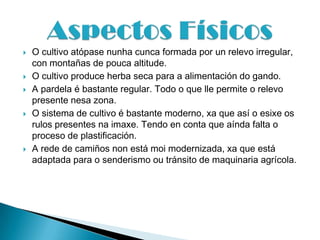    O cultivo atópase nunha cunca formada por un relevo irregular,
    con montañas de pouca altitude.
   O cultivo produce herba seca para a alimentación do gando.
   A pardela é bastante regular. Todo o que lle permite o relevo
    presente nesa zona.
   O sistema de cultivo é bastante moderno, xa que así o esixe os
    rulos presentes na imaxe. Tendo en conta que aínda falta o
    proceso de plastificación.
   A rede de camiños non está moi modernizada, xa que está
    adaptada para o senderismo ou tránsito de maquinaria agrícola.
 