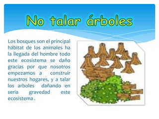 Los bosques son el principal
hábitat de los animales ha
la llegada del hombre todo
este ecosistema se daño
gracias por que nosotros
empezamos a construir
nuestros hogares, y a talar
los arboles dañando en
seria gravedad este
ecosistema .
 