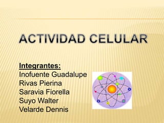 Integrantes:
Inofuente Guadalupe
Rivas Pierina
Saravia Fiorella
Suyo Walter
Velarde Dennis
 