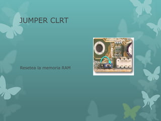 JUMPER CLRT
Resetea la memoria RAM
 