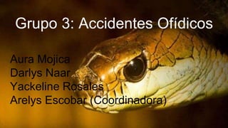 Grupo 3: Accidentes Ofídicos
Aura Mojica
Darlys Naar
Yackeline Rosales
Arelys Escobar (Coordinadora)
 