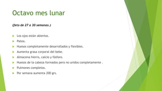 Octavo mes lunar
(feto de 27 a 30 semanas.)
 Los ojos están abiertos.
 Patea.
 Huesos completamente desarrollados y flexibles.
 Aumenta grasa corporal del bebe.
 Almacena hierro, calcio y fósforo.
 Huesos de la cabeza formados pero no unidos completamente .
 Pulmones completos.
 Por semana aumenta 200 grs.
 