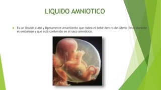 LIQUIDO AMNIOTICO
 Es un líquido claro y ligeramente amarillento que rodea el bebé dentro del útero (feto) durante
el embarazo y que está contenido en el saco amniótico.
 
