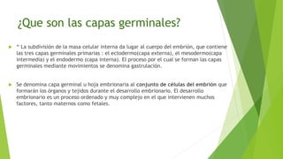 ¿Que son las capas germinales?
 “ La subdivisión de la masa celular interna da lugar al cuerpo del embrión, que contiene
las tres capas germinales primarias : el ectodermo(capa externa), el mesodermo(capa
intermedia) y el endodermo (capa interna). El proceso por el cual se forman las capas
germinales mediante movimientos se denomina gastrulación.
 Se denomina capa germinal u hoja embrionaria al conjunto de células del embrión que
formarán los órganos y tejidos durante el desarrollo embrionario. El desarrollo
embrionario es un proceso ordenado y muy complejo en el que intervienen muchos
factores, tanto maternos como fetales.
 