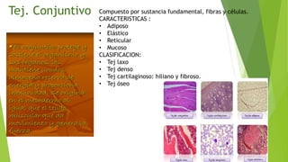 Tej. Conjuntivo Compuesto por sustancia fundamental, fibras y células.
CARACTERISTICAS :
• Adiposo
• Elástico
• Reticular
• Mucoso
CLASIFICACION:
• Tej laxo
• Tej denso
• Tej cartilaginoso: hiliano y fibroso.
• Tej óseo
 