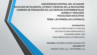 UNIVERSIDAD CENTRAL DEL ECUADOR
FACULTAD DE FILOSOFÍA, LETRASY CIENCIAS DE LA EDUCACIÓN
CARRERA DE PEDAGOGÍA DE LAS CIENCIAS EXPERIMENTALES
QUÍMICAY BIOLOGÍA
PSICOLOGÍA EDUCATIVA
TEMA: LAS PANDILLAS JUVENILES.
INTEGRANTES:
BAYAS CASTAÑEDA MARTHA CAROLINA
CAIZA MUYOLEMA MIRIAM ARACELY
CHAMORRO MARÍA JOSÉ
POMA IMBAQUINGO KATHERIN GISSEL
DOCENTE: ORDÓÑEZ PIZARRO WILMAN IVÁN
SEGUNDO “B”
PERIODO JUNIO 2020 – SEPTIEMBRE 2020
 