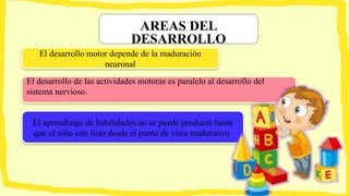 AREAS DEL
DESARROLLO
El desarrollo motor depende de la maduración
neuronal
El desarrollo de las actividades motoras es paralelo al desarrollo del
sistema nervioso.
El aprendizaje de habilidades no se puede producer hasta
que el niño este listo desde el punto de vista madurativo
 