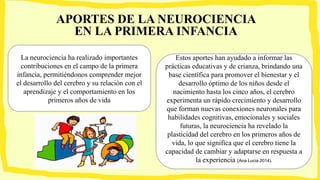 APORTES DE LA NEUROCIENCIA
EN LA PRIMERA INFANCIA
La neurociencia ha realizado importantes
contribuciones en el campo de la primera
infancia, permitiéndonos comprender mejor
el desarrollo del cerebro y su relación con el
aprendizaje y el comportamiento en los
primeros años de vida
Estos aportes han ayudado a informar las
prácticas educativas y de crianza, brindando una
base científica para promover el bienestar y el
desarrollo óptimo de los niños desde el
nacimiento hasta los cinco años, el cerebro
experimenta un rápido crecimiento y desarrollo
que forman nuevas conexiones neuronales para
habilidades cognitivas, emocionales y sociales
futuras, la neurociencia ha revelado la
plasticidad del cerebro en los primeros años de
vida, lo que significa que el cerebro tiene la
capacidad de cambiar y adaptarse en respuesta a
la experiencia (Ana Lucia 2014).
 