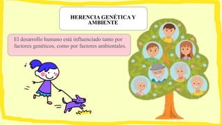 HERENCIA GENÉTICA Y
AMBIENTE
El desarrollo humano está influenciado tanto por
factores genéticos, como por factores ambientales.
 