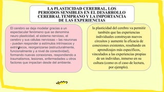 LA PLASTICIDAD CEREBRAL, LOS
PERIODOS SENSIBLES EN EL DESARROLLO
CEREBRAL TEMPRANO Y LA IMPORTANCIA
DE LAS EXPERIENCIAS
El cerebro se deja modelar gracias a un
espectacular fenómeno que se denomina
neuro plasticidad, el sistema nervioso, el
cerebro y sus células nerviosas – las neuronas
- pueden responder a estímulos intrínsecos y
extrínsecos, reorganizarse (estructuralmente,
funcionalmente y a nivel de conectividad),
formando nuevas conexiones, respondiendo a
traumatismos, lesiones, enfermedades u otros
factores que impactan desde del ambiente.
la plasticidad del cerebro va permitir
también que las experiencias
individuales construyan nuevos
circuitos y aumente la eficacia de
conexiones existentes, resultando en
aprendizajes más específicos,
vinculados a las experiencias propias
de un individuo, inmerso en su
cultura (como es el caso de lectura,
por ejemplo).
 