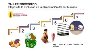 TALLER SINCRÓNICO:
Etapas de la evolución en la alimentación del ser humano
1
2
3
4
5
6
7
Mg. Diana E. Calle Jacinto de
Guillén
 
