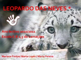 Leopardo das neves * Ano lectivo 2010/2011  Escola E.B 2,3 de Lamaçães  Mariana Freitas/ Marta Lopes / Marta Pereira 