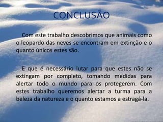 CONCLUSÃO	    Com este trabalho descobrimos que animais como o leopardo das neves se encontram em extinção e o quanto únicos estes são. 	    E que é necessário lutar para que estes não se extingam por completo, tomando medidas para alertar todo o mundo para os protegerem. Com estes trabalho queremos alertar a turma para a beleza da natureza e o quanto estamos a estragá-la. 