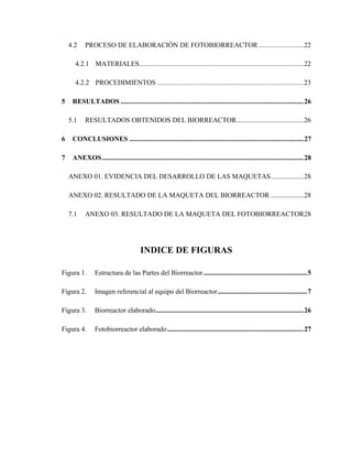 GRUPO 3A-INFORME MAQUETA BIOTECNOLÓGICA.pdf