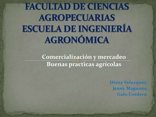 Comercialización y mercadeo
 Buenas practicas agrícolas

                     Diana Velazquez.
                      Jenny Maguana.
                        Galo Cordero.
 