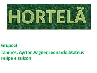 Grupo:3
Tamires, Ayrton,Vagner,Leonardo,Mateus
Felipe e Jailson
 