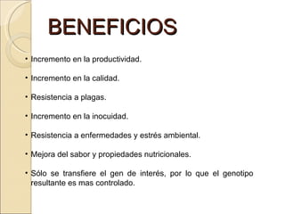 BENEFICIOS Incremento en la productividad. Incremento en la calidad. Resistencia a plagas. Incremento en la inocuidad. Resistencia a enfermedades y estrés ambiental. Mejora del sabor y propiedades nutricionales. Sólo se transfiere el gen de interés, por lo que el genotipo resultante es mas controlado. 