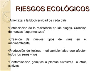 RIESGOS ECOLÓGICOS Amenaza a la biodiversidad de cada país. Potenciación de la resistencia de las plagas. Creación de nuevas “supermalezas”  Creación de nuevos tipos de virus en el medioambiente. Producción de toxinas medioambientales que afecten todos los seres vivos Contaminación genética a plantas silvestres  u otros cultivos . 