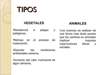 TIPOS VEGETALES Resistencia a plagas y patógenos. Retraso en el proceso de maduración. Soportar las condiciones ambientales extrema. Aumento del valor nutricional de algún alimento. ANIMALES Los avances se realizan de una forma mas lenta puesto que los cambios en animales implican mayores repercusiones éticas y sociales. 