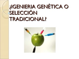 ¿IGENIERIA GENÉTICA O SELECCIÓN TRADICIONAL? 