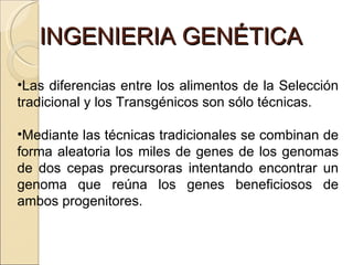 INGENIERIA GENÉTICA Las diferencias entre los alimentos de la Selección tradicional y los Transgénicos son sólo técnicas.  Mediante las técnicas tradicionales se combinan de forma aleatoria los miles de genes de los genomas de dos cepas precursoras intentando encontrar un genoma que reúna los genes beneficiosos de ambos progenitores. 