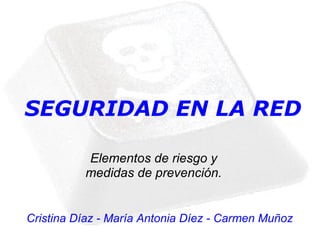 SEGURIDAD EN LA RED Elementos de riesgo y medidas de prevención. Cristina Díaz - María Antonia Díez - Carmen Muñoz 