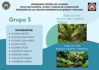 UNIVERSIDAD CENTRAL DEL ECUADOR
FACULTAD FILOSOFÍA, LETRAS Y CIENCIAS DE LA EDUCACIÓN
PEDAGOGÍA DE LAS CIENCIAS EXPERIMENTALES QUÍMICA Y BIOLOGÍA
Grupo 3
Z O N A D E V I D A
B O S Q U E M U Y H Ú M E D O
T R O P I C A L
GUANO MATEO
GUANOLUISA HEIDY
GUANOLUISA KAROL
GUAÑA KORI
GUERRA SINDY
GUERRÓN EMILSE
HERRERA ERIKA
LINCANGO EMILIA
LOMBEIDA MARÍA
INTEGRANTES:
Z O N A D E V I D A
B O S Q U E H Ú M E D O T R O P I C A L
 