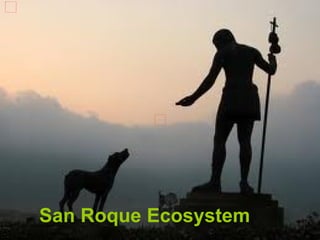 San Roque Ecosystem
 
