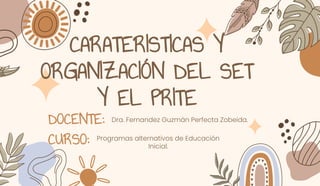 CARATERISTICAS Y
ORGANIZACIÓN DEL SET
Y EL PRITE
Dra. Fernandez Guzmán Perfecta Zobeida.
DOCENTE:
CURSO: Programas alternativos de Educación
Inicial.
 